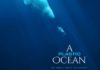 A Plastic Ocean Review and Movie Trailer