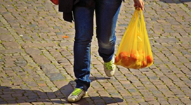 The State Of California Ban Plastic Bags